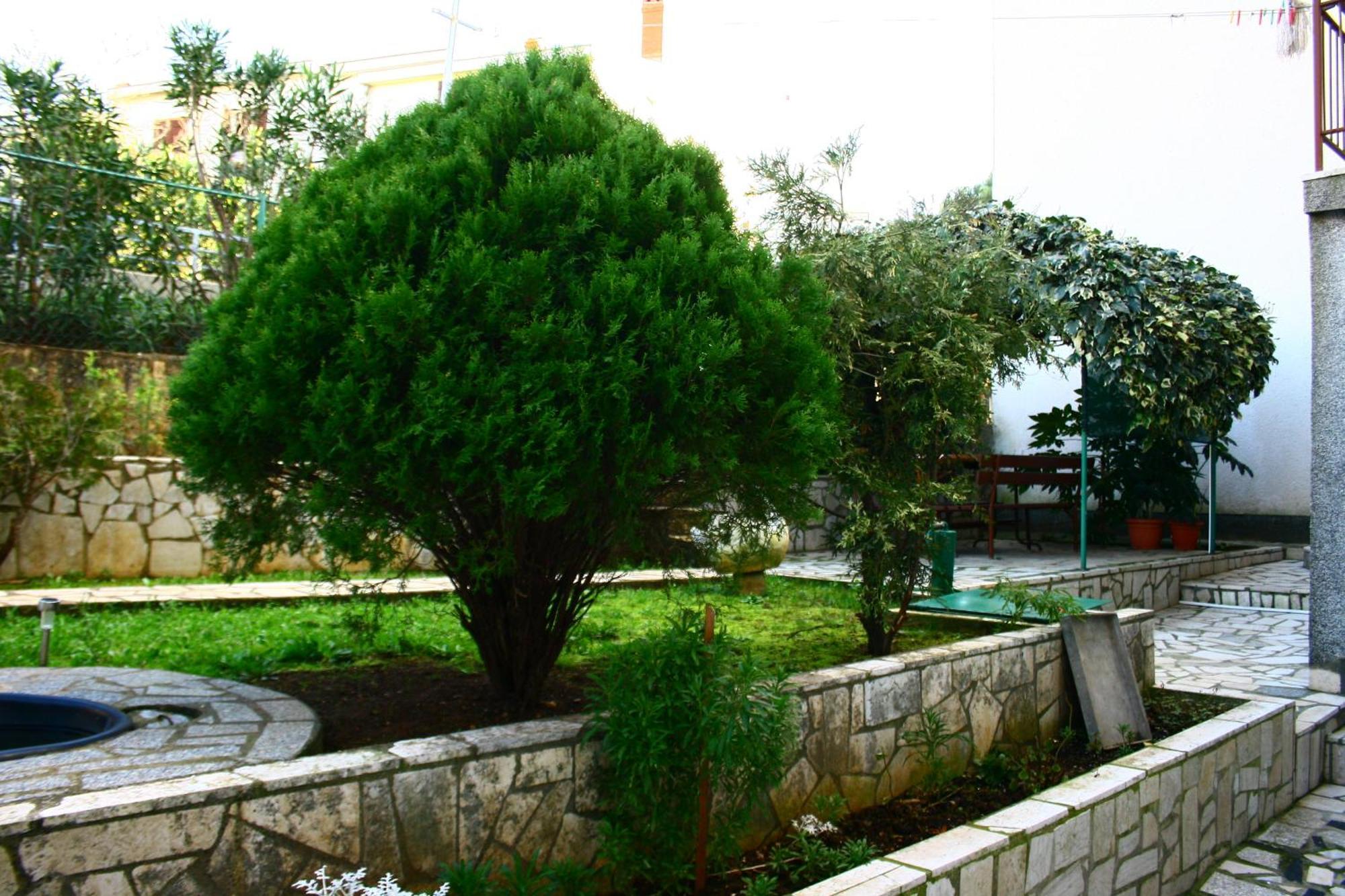 Apartments Paradiso Πούλα Εξωτερικό φωτογραφία